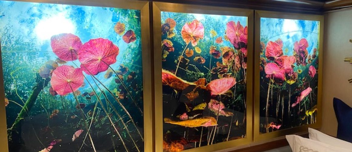 20 Reasons to Use a Backlit Photo Frame | Ultra Slim LED Displays