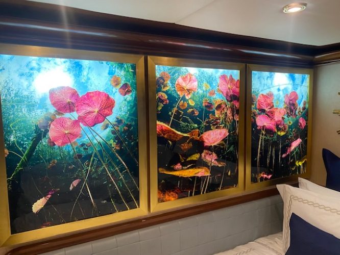 20 Reasons to Use a Backlit Photo Frame | Ultra Slim LED Displays