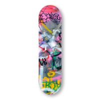 Skateboard <br> Art