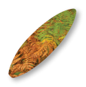 Surfboard