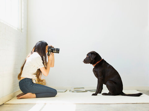 best dog photography