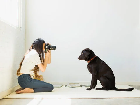 best dog photography