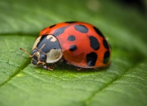 best dslr camera 2023