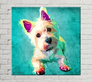 best dog photography