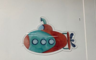 No Nails Magnetic Acrylics