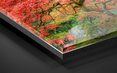 Facemount or direct print on Acrylic