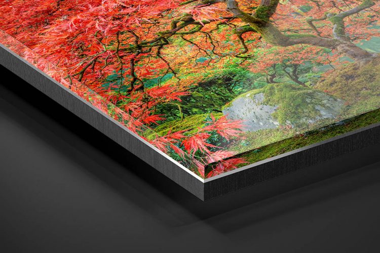 Facemount or direct print on Acrylic