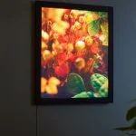 LED Customer Creation_18