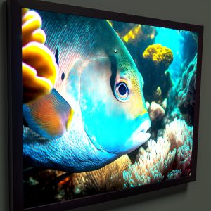 LED Customer Creation_35