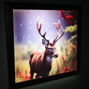 LED Customer Creation_37