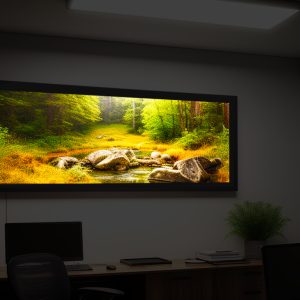 LED Customer Creation_40