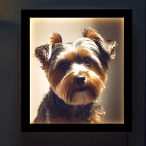 LED Customer Creation_9