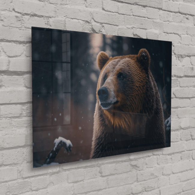 Wildlife Portraits_42_Grizzly Bear 2_Majestic Mane_Acrylic_Glass_Mockup