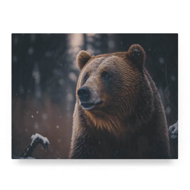 Wildlife Portraits_42_Grizzly Bear 2_Majestic Mane_LED_Mockup_Float_Mockup