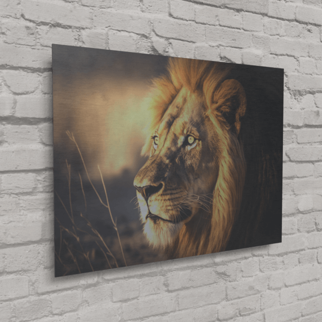Wildlife Portraits_54_Lion 3_Jungle Monarch_Brushed_Metal_Mockup