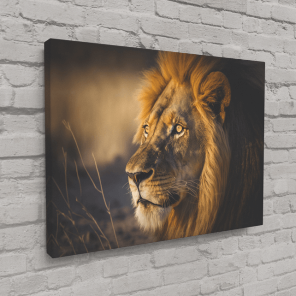 Wildlife Portraits_54_Lion 3_Jungle Monarch_Canvas_Mockup