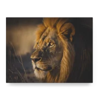 Wildlife Portraits_54_Lion 3_Jungle Monarch_LED_Mockup_Float_Mockup