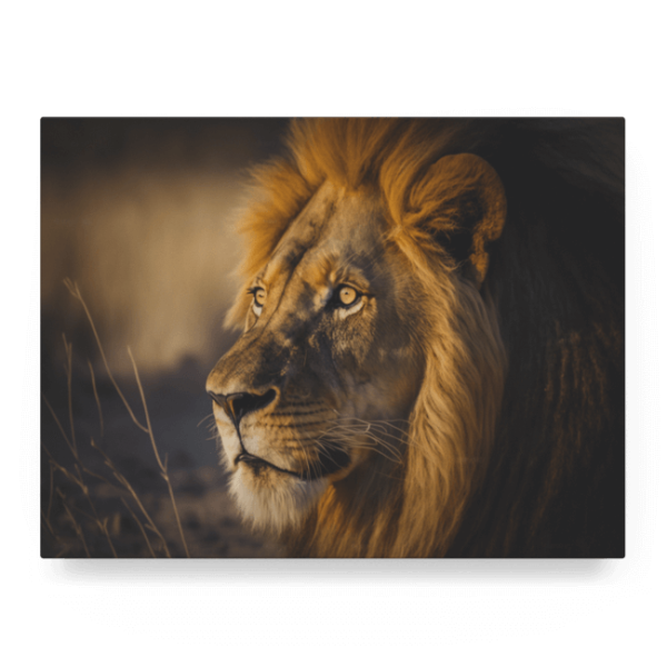 Wildlife Portraits_54_Lion 3_Jungle Monarch_LED_Mockup_Float_Mockup
