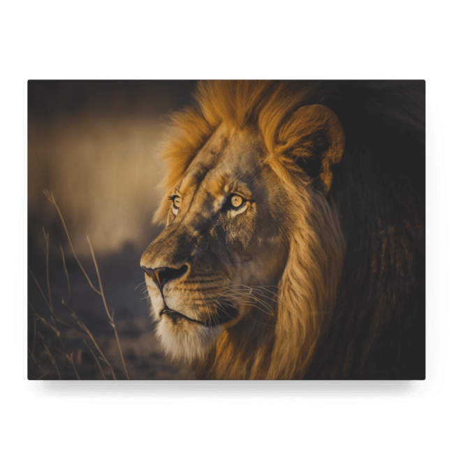 Wildlife Portraits_54_Lion 3_Jungle Monarch_LED_Mockup_Float_Mockup