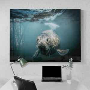 Wildlife Portraits_71_Seal 1_Coastal Companions_Desk_Mockup