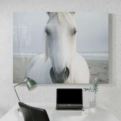 Wildlife Portraits_82_White Horse 2_Winter_s Wonder_Desk_Mockup