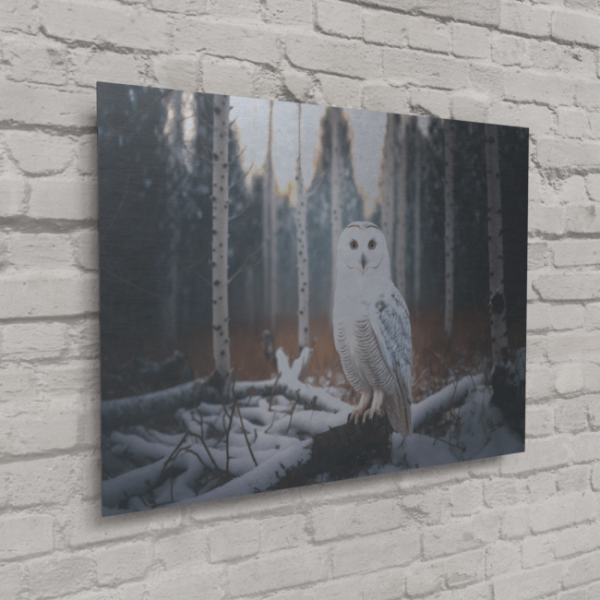 Wildlife Portraits_86_White Owl 4_Wisdom of the White_Brushed_Metal_Mockup