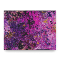 Galactic Kaleidoscope