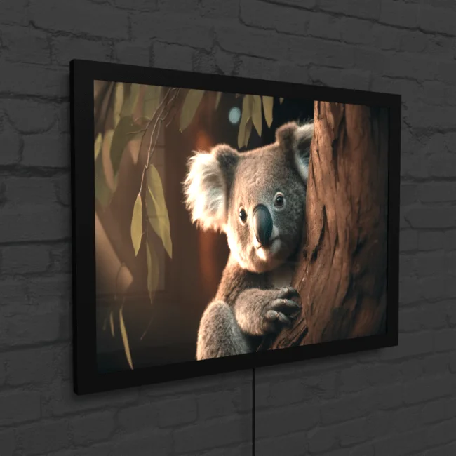 Koala Cuddle