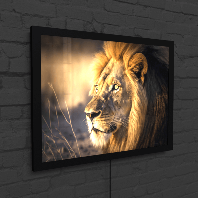 Wildlife Portraits_54_Lion 3_Jungle Monarch_Snap_LED_Mockup