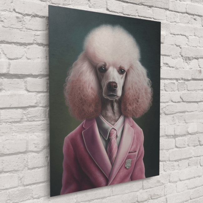 Poodle clothes for humans 2025