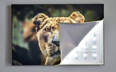 Backlit fabric printing different choices