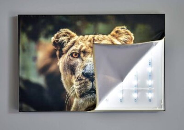 Backlit fabric printing different choices