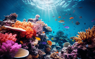 adlach_underwater_photo_of_colorful_coral_reef_af39dbe1-860d-4b7f-ab80-c0e3229ab62d