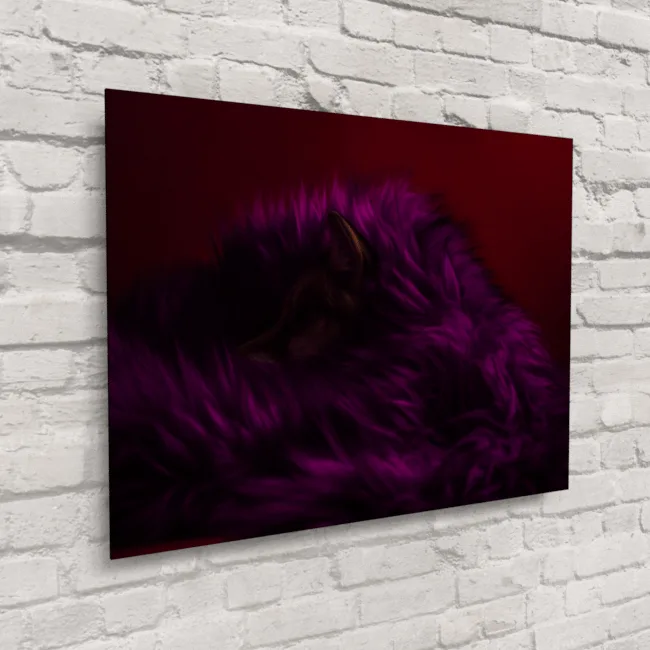 Furry Fantasia