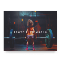 Prove Them Wrong