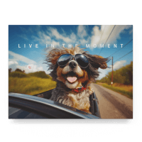 Live in the Moment I