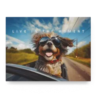 Live in the Moment I