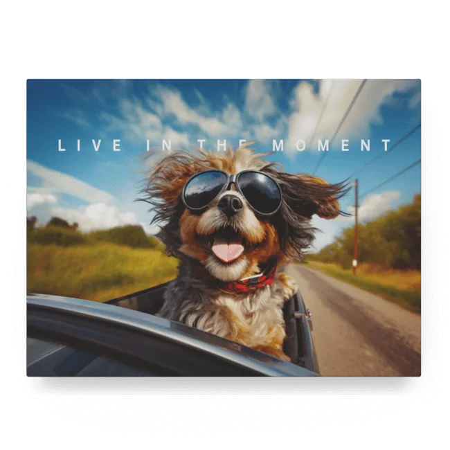 Live in the Moment I
