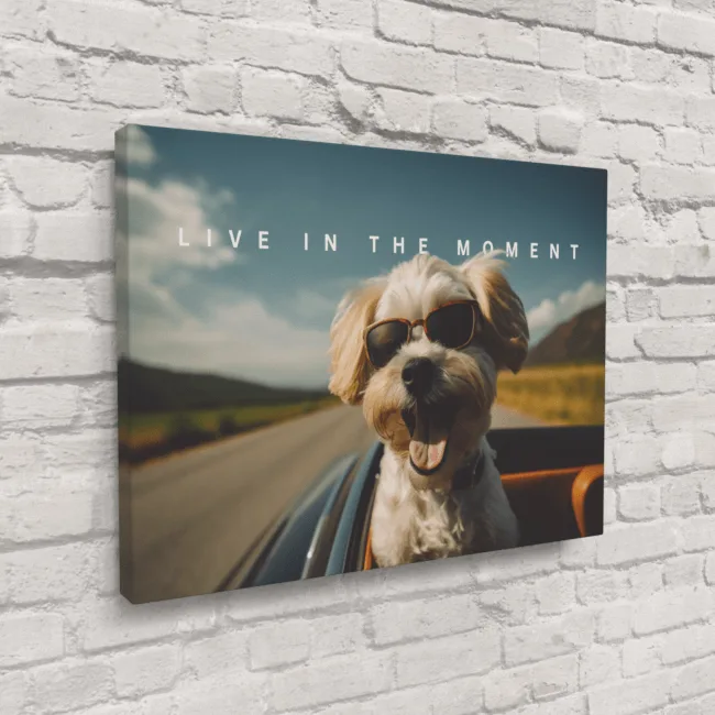 Live in the Moment II