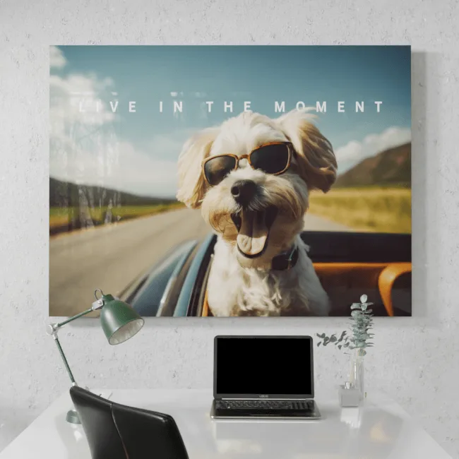 Live in the Moment II