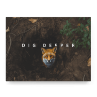 Dig Deeper
