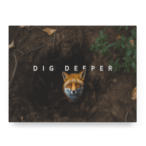 Dig Deeper