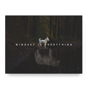 Mindset is Everything I