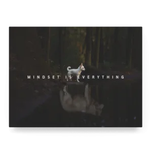 Mindset is Everything I