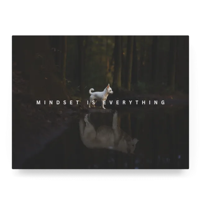 Mindset is Everything I