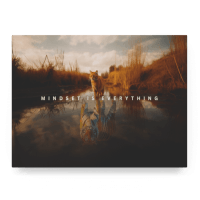 Mindset is Everything II