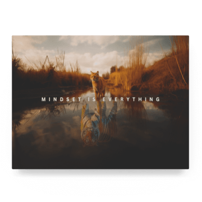 Mindset is Everything II