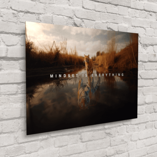 The Art of Presentation: Photos on Acrylic vs. Photos on Metal