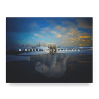 Mindset is Everything III