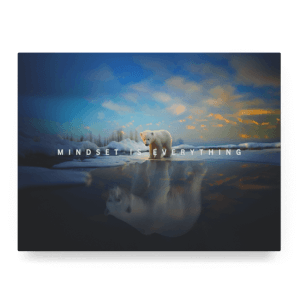 Mindset is Everything III